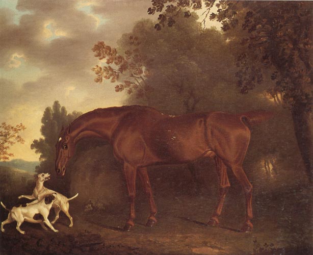 Clifton Tomson A Bay Hunter and Two Hounds in A Wooded Landscape